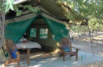 Mopane Camp